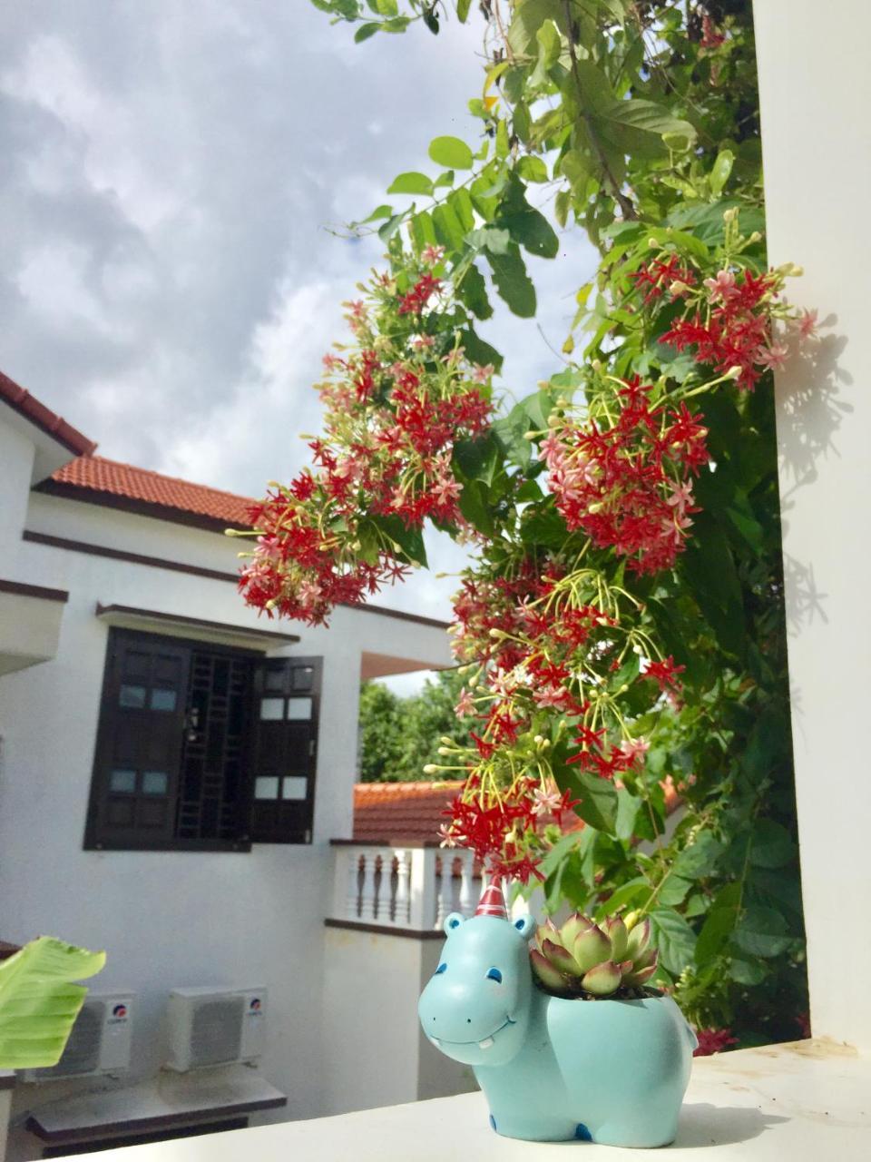 Holy Land Homestay ฮอยอัน ภายนอก รูปภาพ